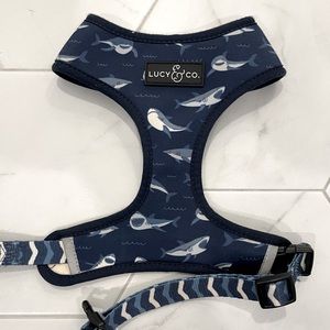 Lucy & Co. Matching Harness and Collar for small dog